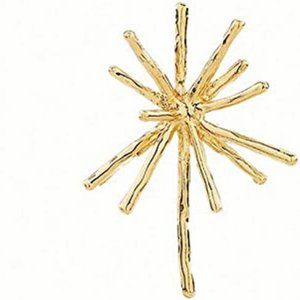 Firework Stud Earrings Women Big Earrings Studs Statement Chandelier Earrings